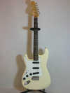 Fernandes FST.jpg